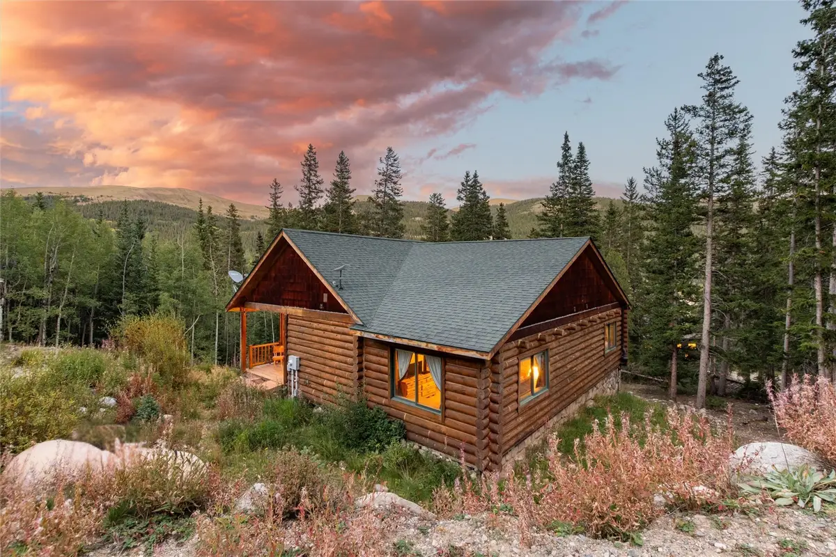 253 Ute Trail, Alma, CO 80440 - #1
