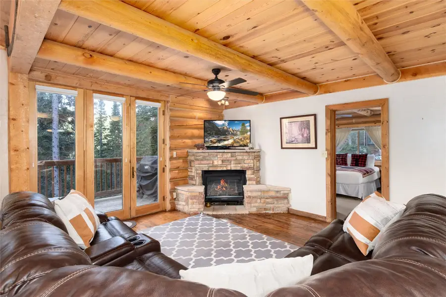 253 Ute Trail, Alma, CO 80440 - #3