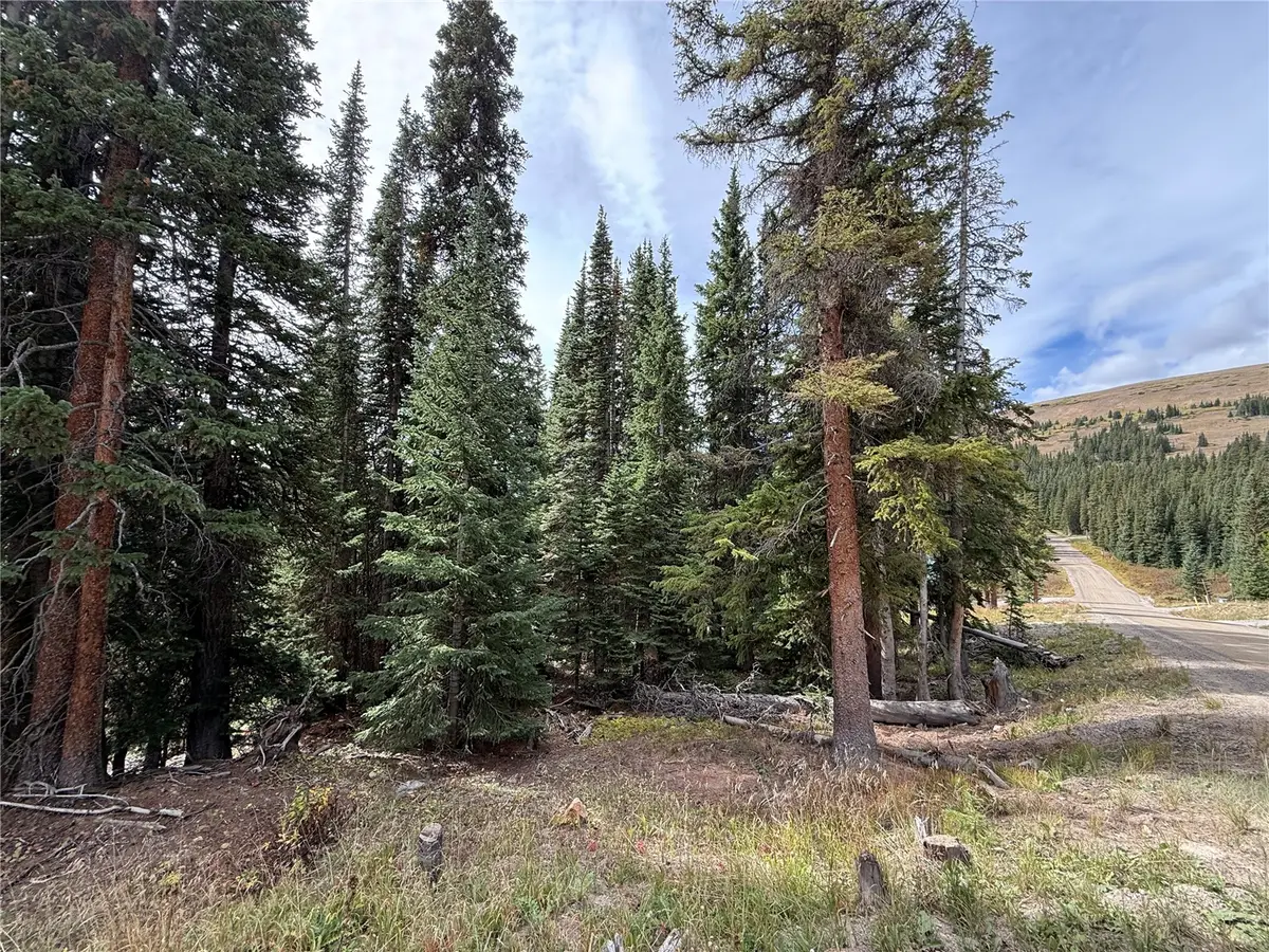 244 Camron Lane, Breckenridge, CO 80424 - #1