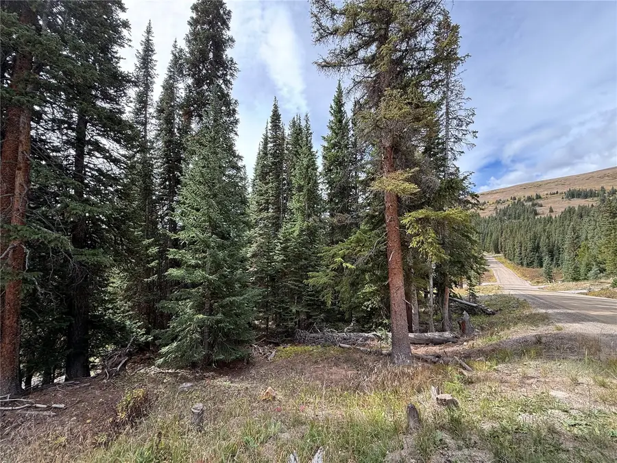 244 Camron Lane, Breckenridge, CO 80424 - #2