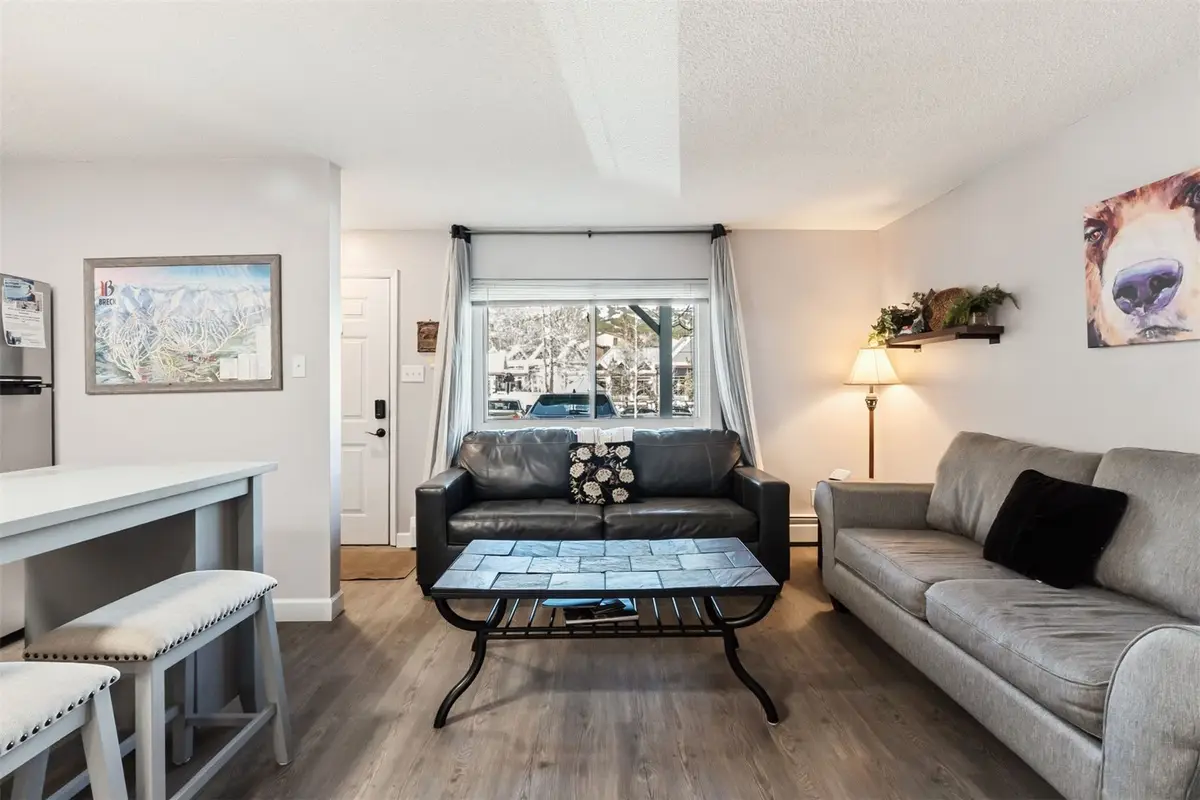 412 S Main Street #113, Breckenridge, CO 80424 - #1