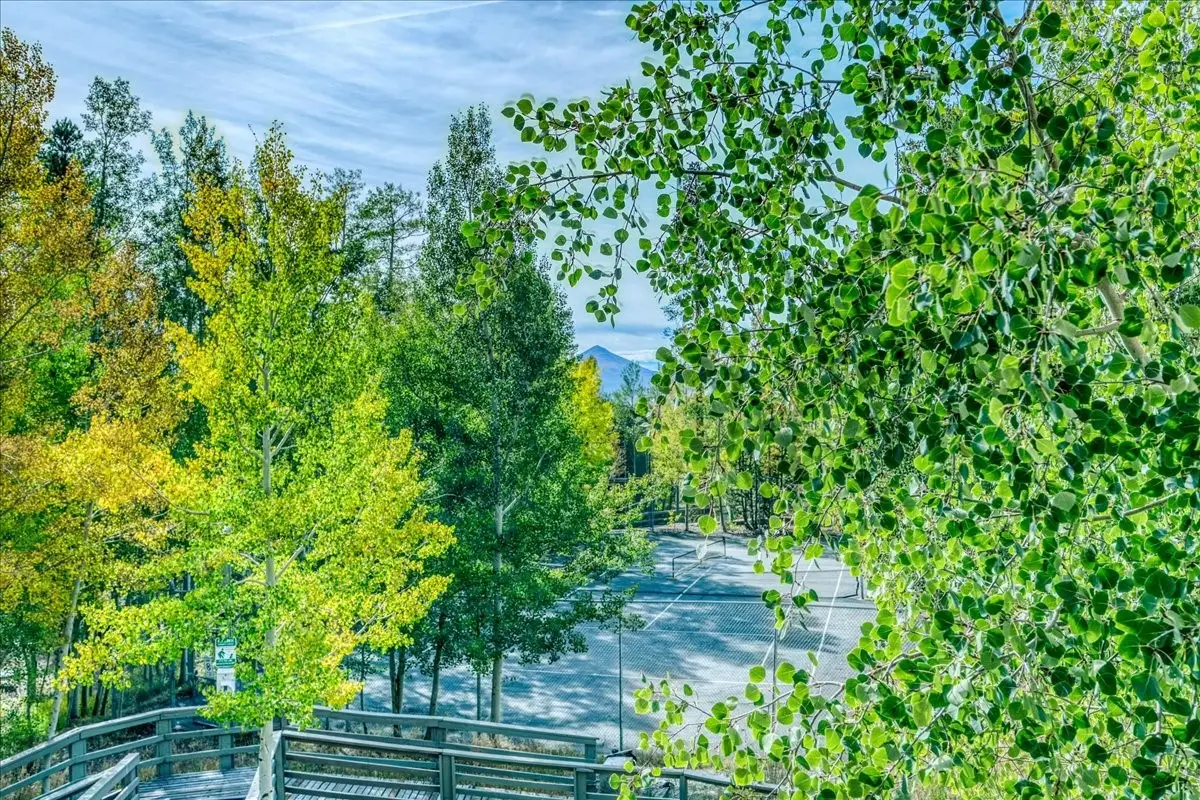 2300 Lodge Pole Circle #205, Silverthorne, CO 80498 - #1
