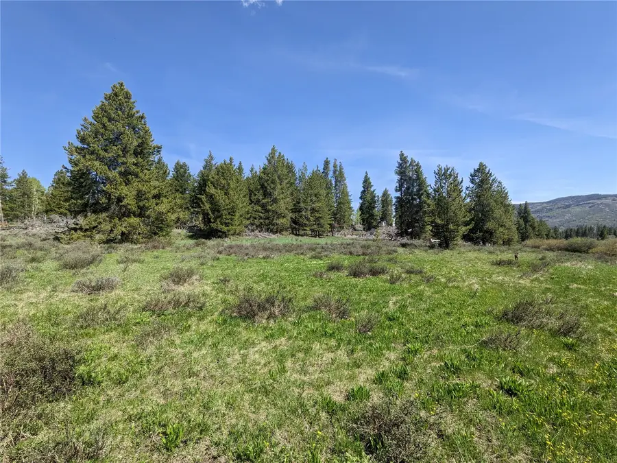 20470 Silver Bit Trail, Oak Creek, CO 80467 - #2