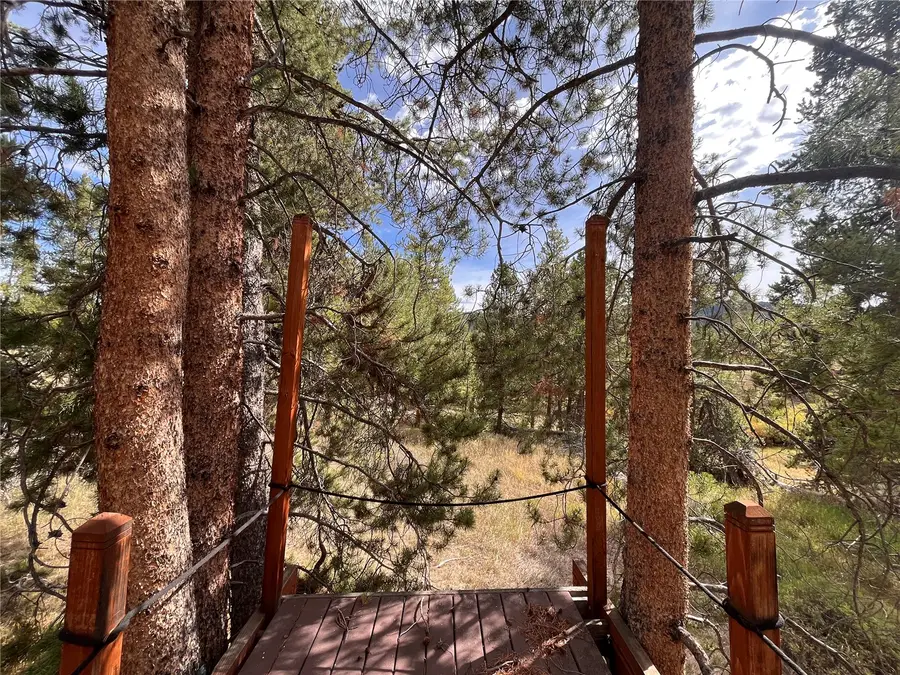 20490 Silver Bit Trail, Oak Creek, CO 80467 - #2
