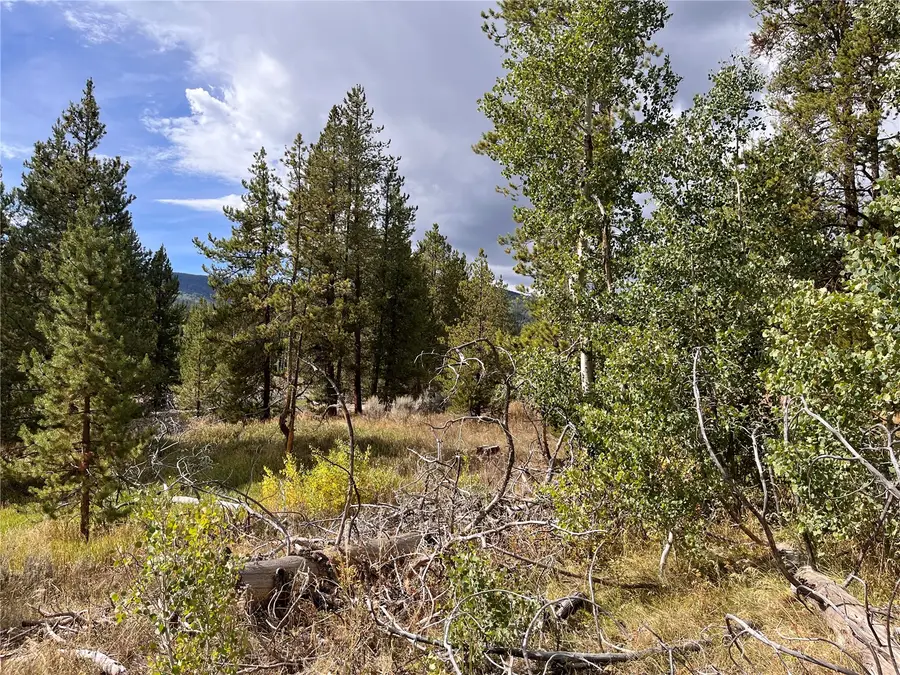 20490 Silver Bit Trail, Oak Creek, CO 80467 - #3