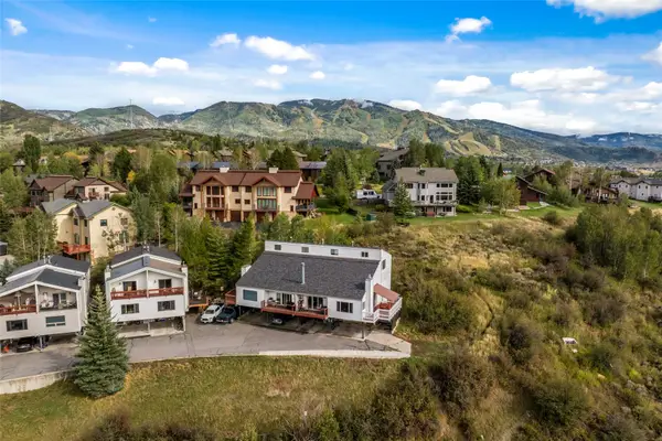 384 Old Fish Creek Falls Road #384, Steamboat Springs, CO 80487
