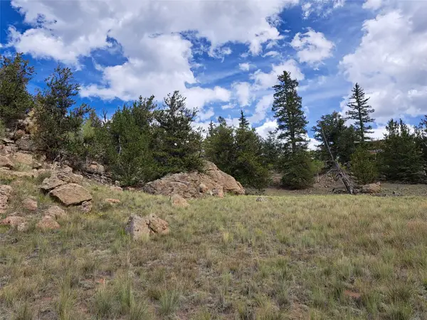736 Stagestop Road, Jefferson, CO 80456
