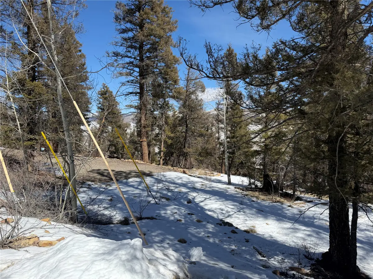 806 Middle Fork, Fairplay, CO 80440 - #1