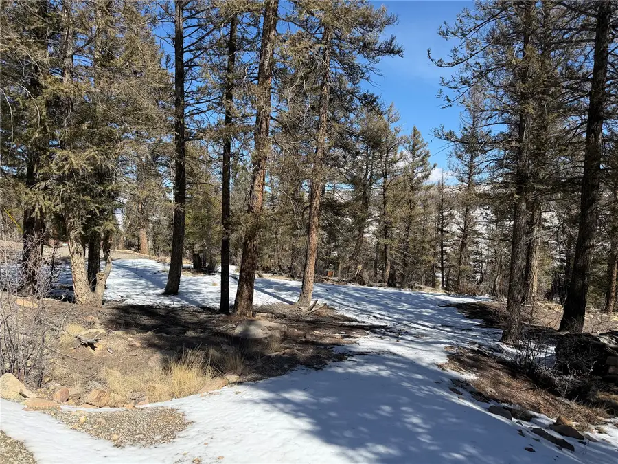 806 Middle Fork, Fairplay, CO 80440 - #3