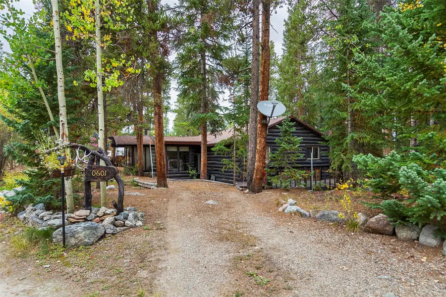 601 Spruce Creek Road, Breckenridge, CO 80424 - #2