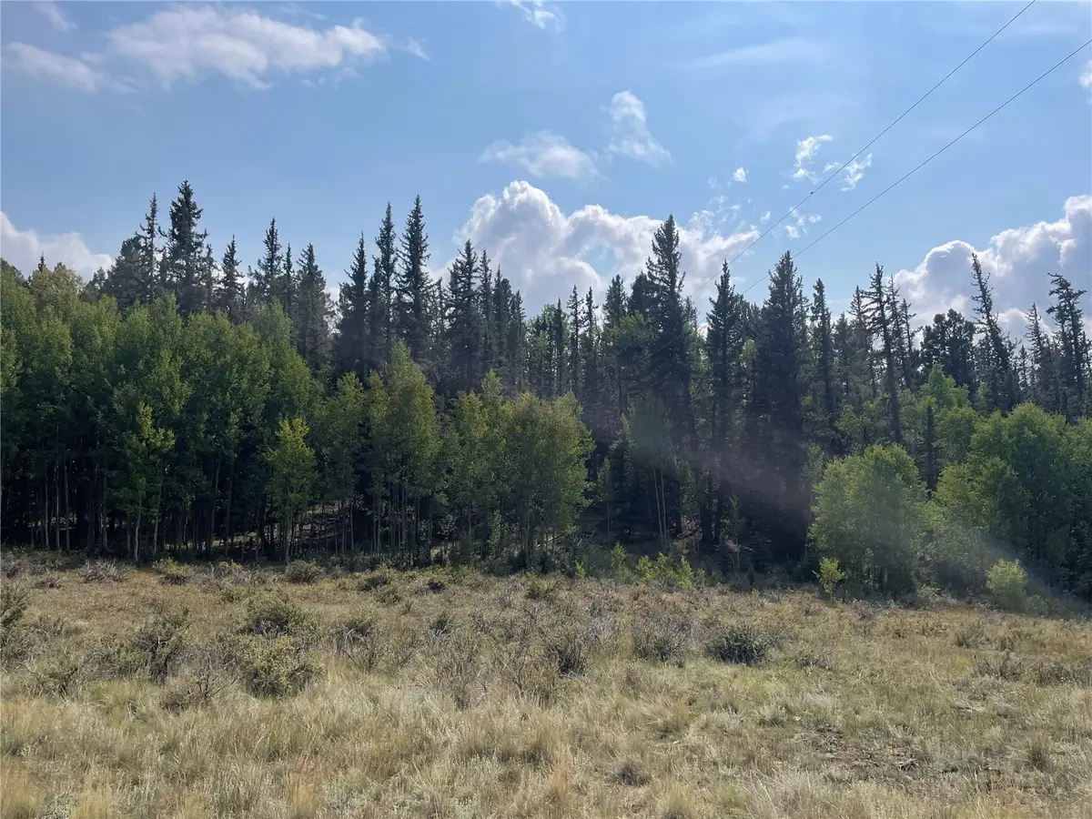 491 Longbow Drive W, Como, CO 80432 - #1
