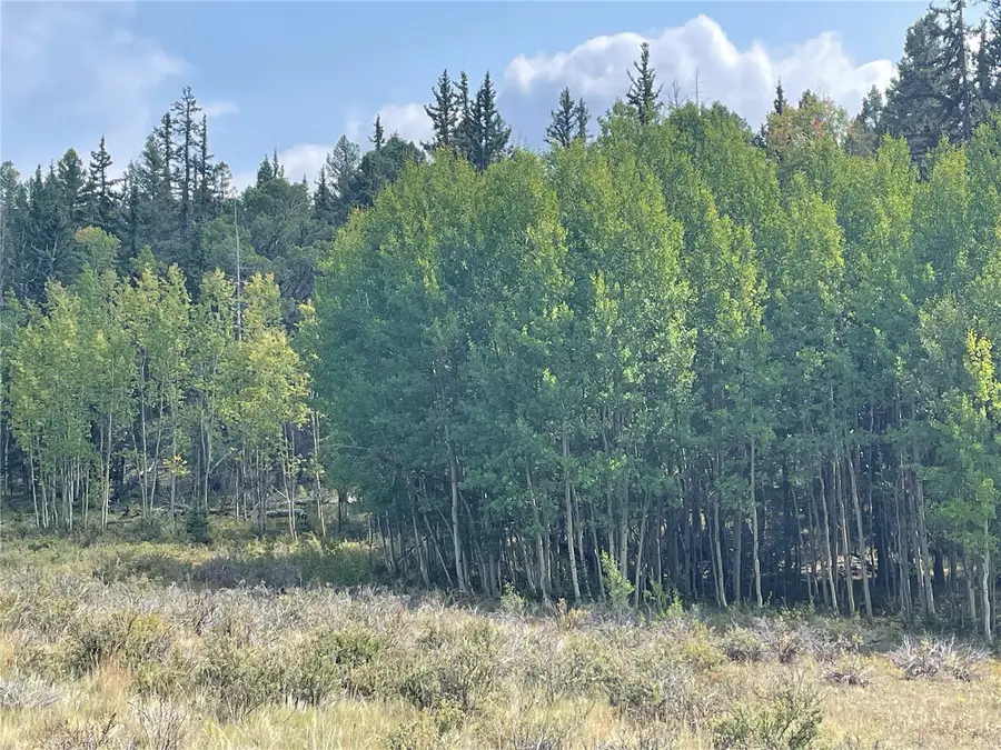 491 Longbow Drive W, Como, CO 80432 - #3