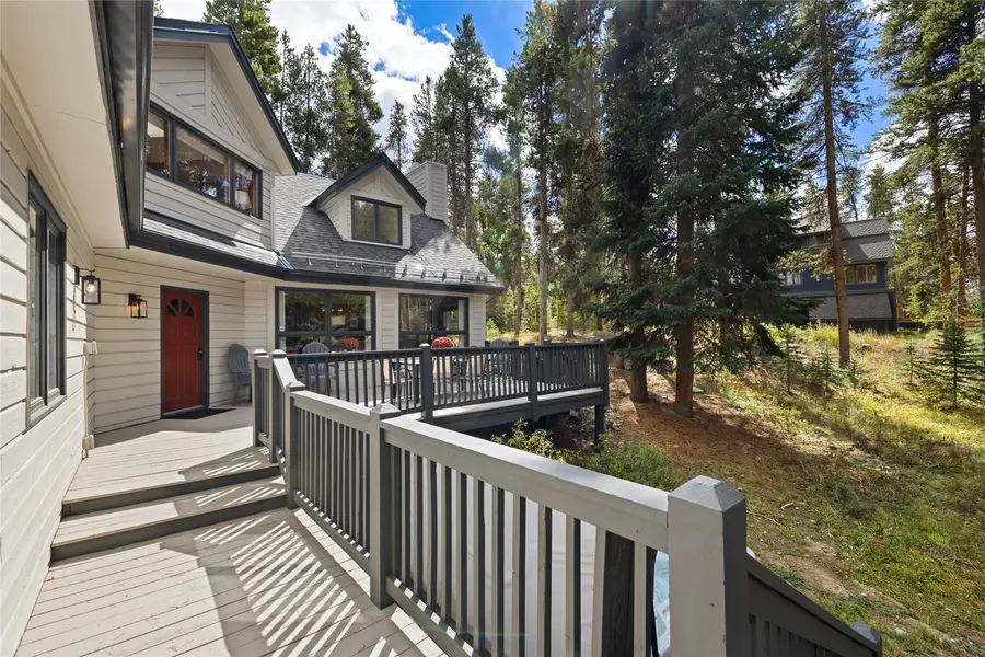 44 Burntwood Lane, Breckenridge, CO 80424 - #3