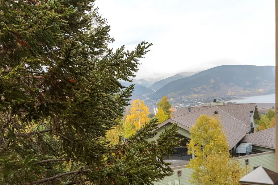 8100 Ryan Gulch Road #308, Silverthorne, CO 80498 - #3