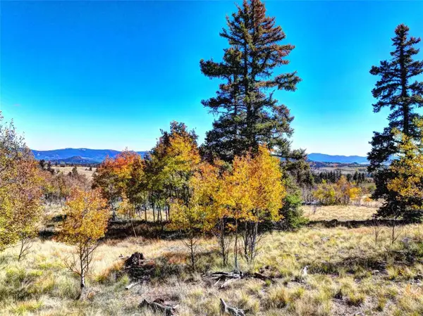 74 Antelope Circle, Como, CO 80456