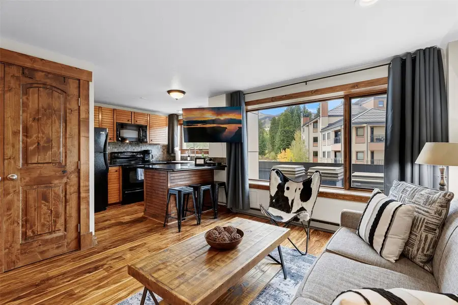 535 S Park Avenue #210, Breckenridge, CO 80424 - #2