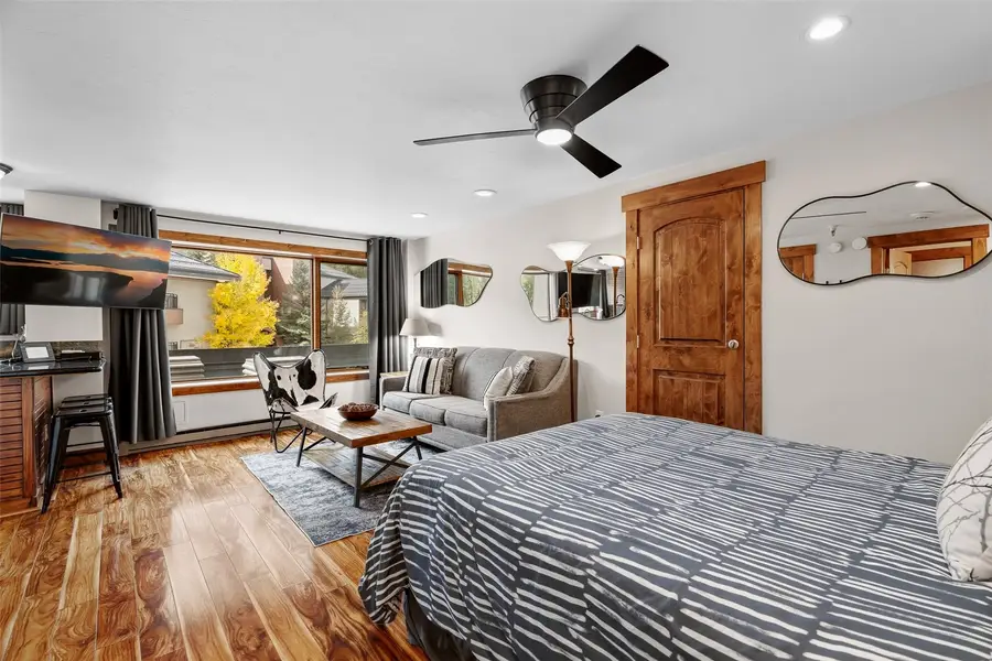 535 S Park Avenue #210, Breckenridge, CO 80424 - #3
