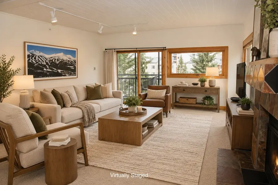 655 S Park Avenue #201, Breckenridge, CO 80424 - #2