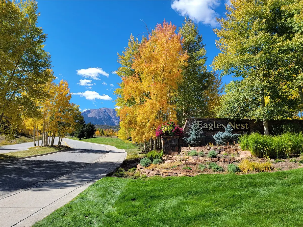 405 Kestrel Lane, Silverthorne, CO 80498 - #1