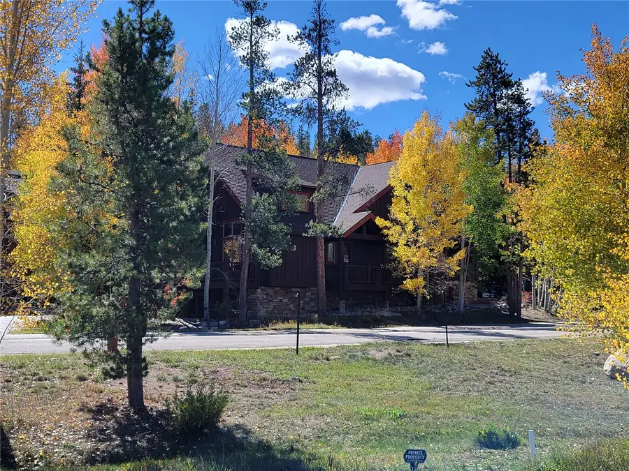 405 Kestrel Lane, Silverthorne, CO 80498 - #3