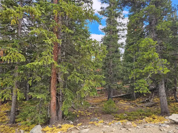 617 Gold Trail Circle, Fairplay, CO 80440