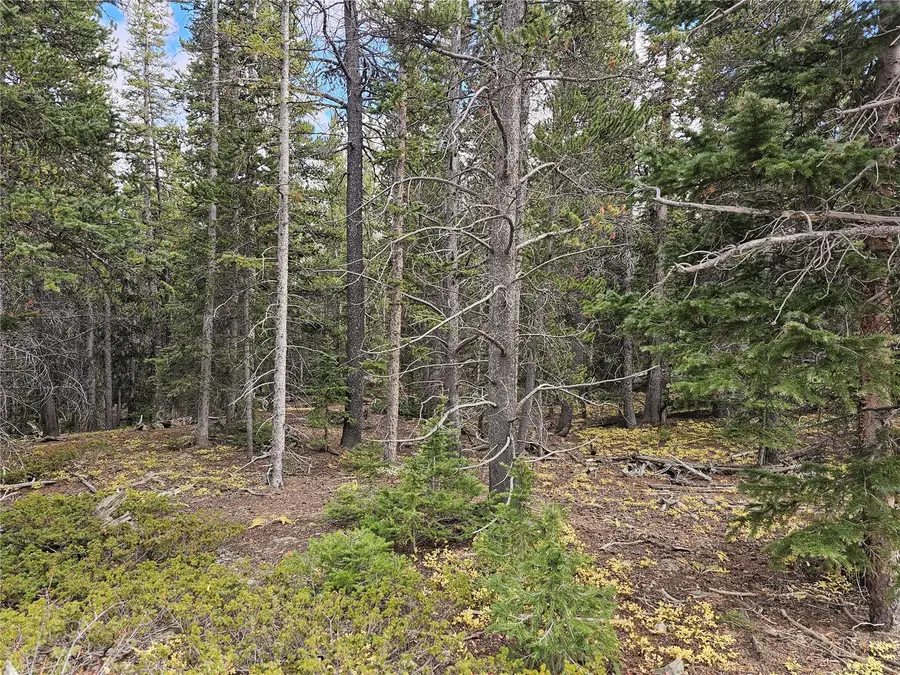 617 Gold Trail Circle, Fairplay, CO 80440 - #3