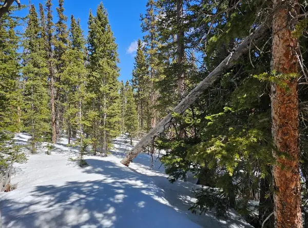 135 Valley Of The Sun Drive, Fairplay, CO 80440