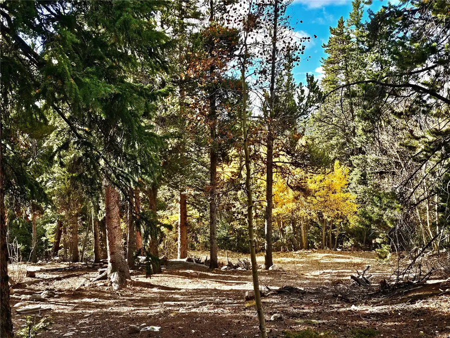 102 Gold Trail, Fairplay, CO 80440 - #2