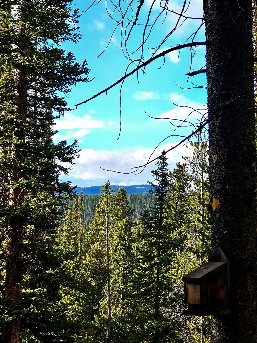 102 Gold Trail, Fairplay, CO 80440 - #3