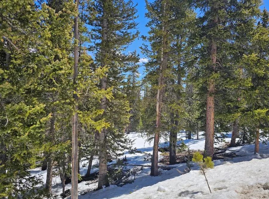 318 El Lobo Lane, Fairplay, CO 80440 - #3