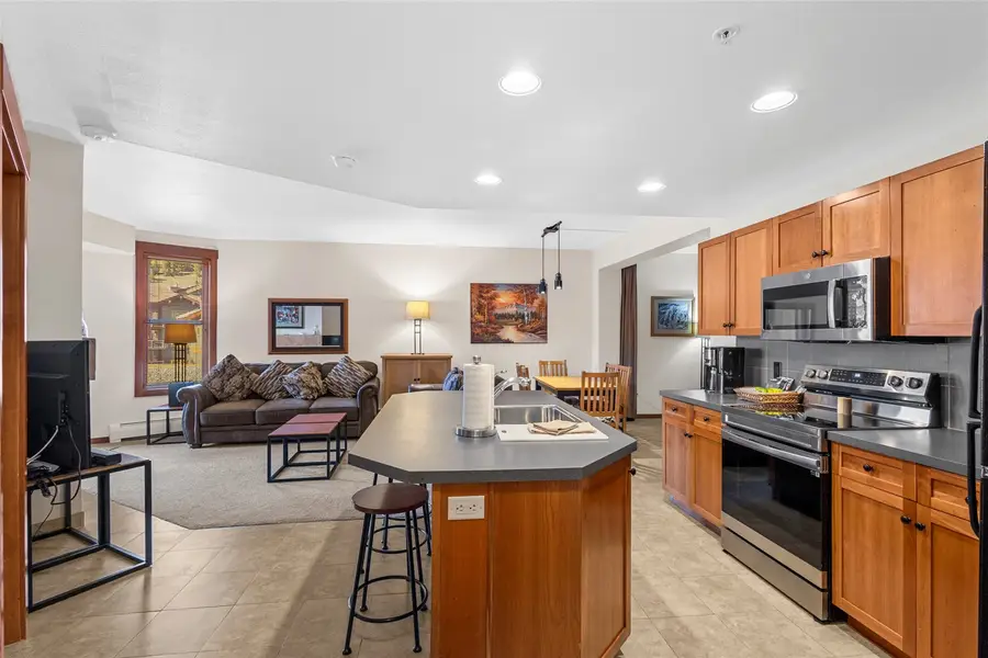 184 Copper Circle #316, Frisco, CO 80443 - #3