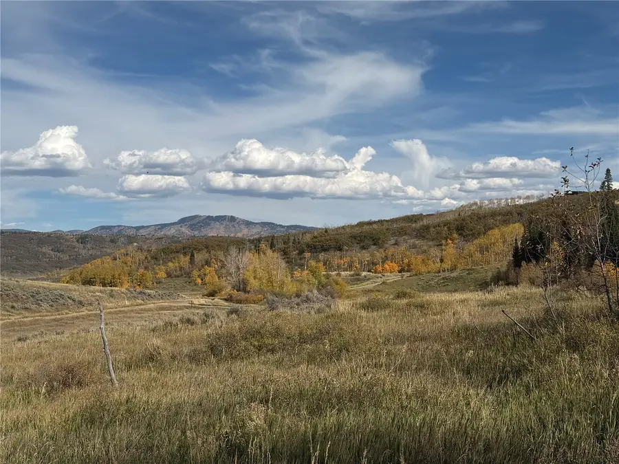 33880 County Road 43a, Steamboat Springs, CO 80487 - #2