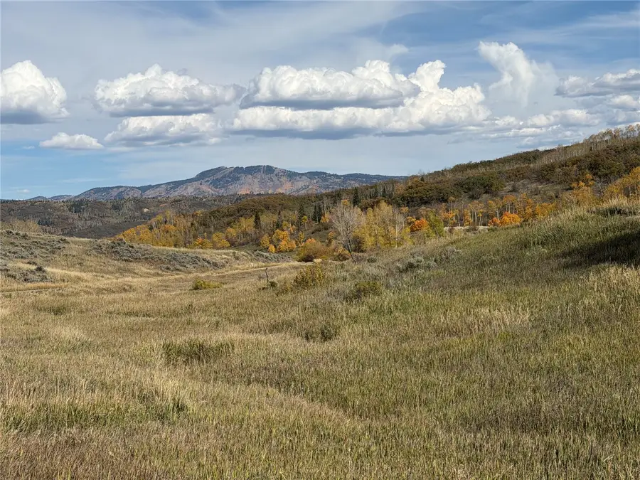33880 County Road 43a, Steamboat Springs, CO 80487 - #3