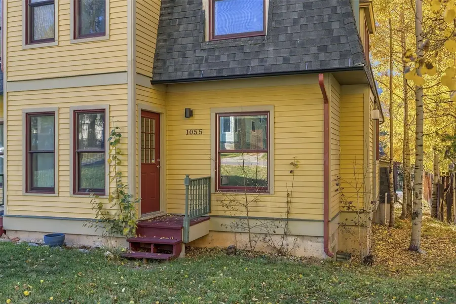 105 S High Street #A, Breckenridge, CO 80424 - #3