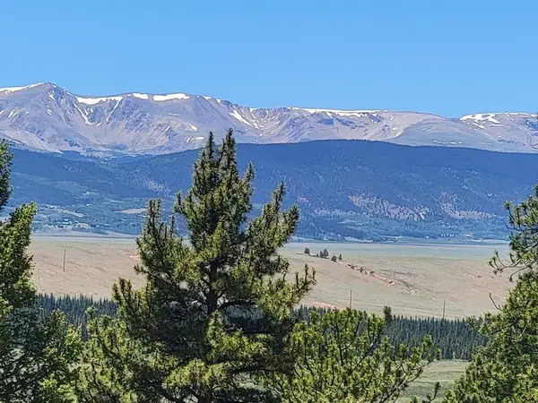 742 Bonell Drive, Fairplay, CO 80440