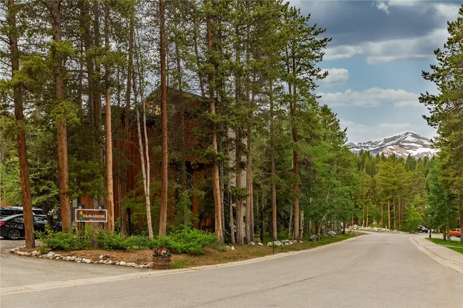 935 Columbine Road #206, Breckenridge, CO 80424 - #3