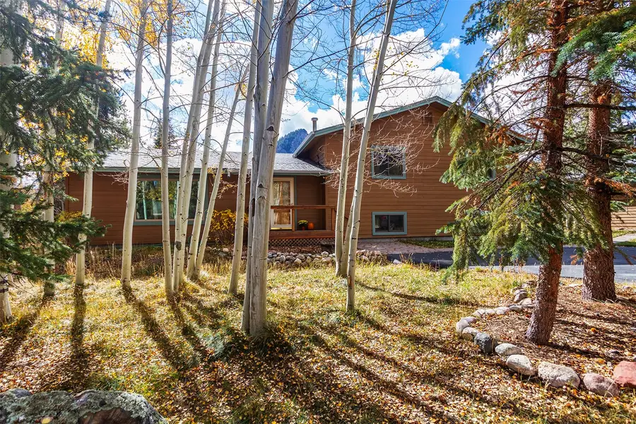 152 Larson Lane, Frisco, CO 80443 - #2