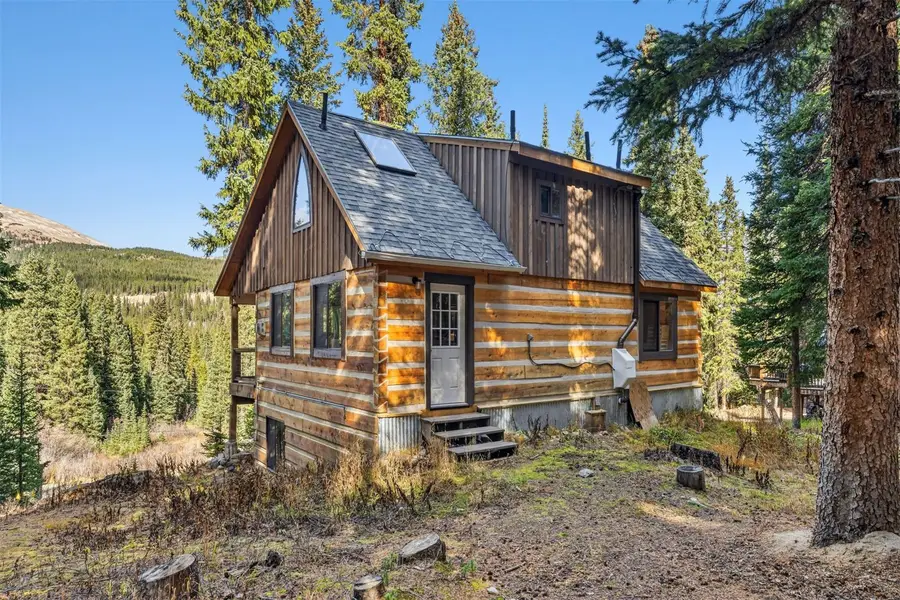 0516 County Road 674, Breckenridge, CO 80424 - #2