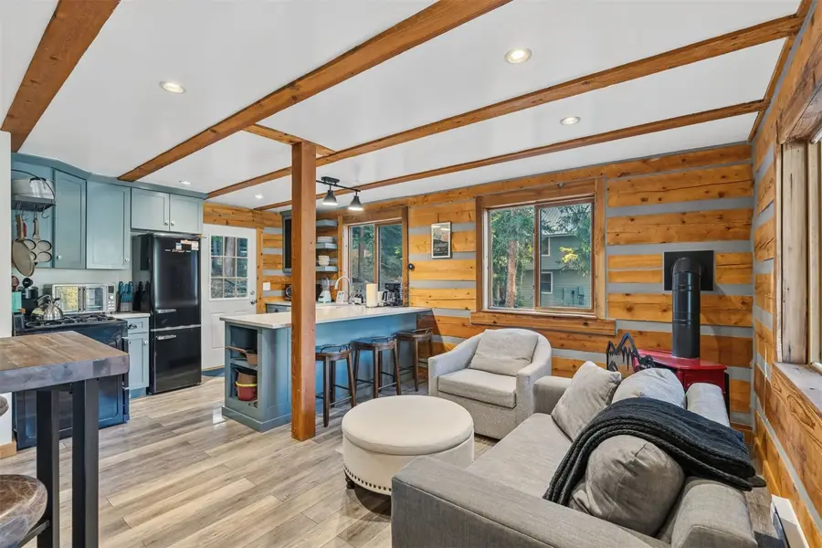 0516 County Road 674, Breckenridge, CO 80424 - #3