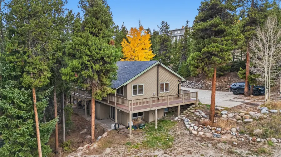 1310 Baldy Road #C, Breckenridge, CO 80424 - #2