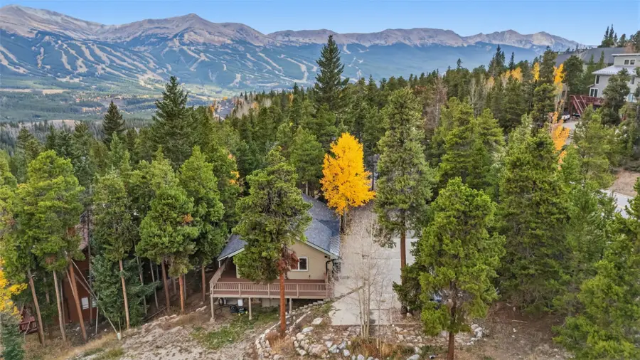1310 Baldy Road #C, Breckenridge, CO 80424 - #3
