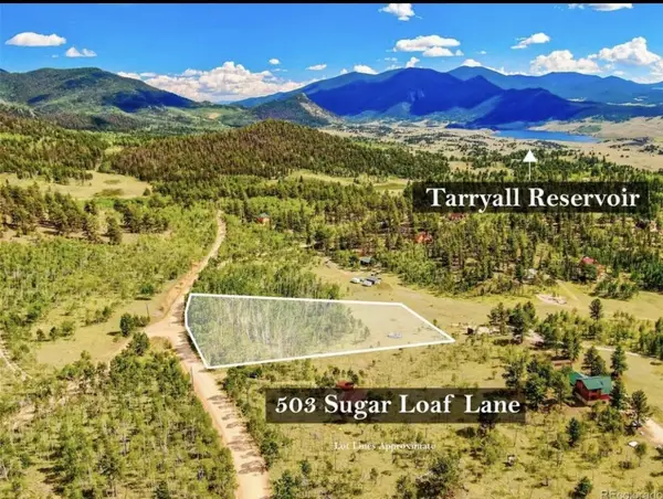 503 Sugar Loaf Lane, Jefferson, CO 80456