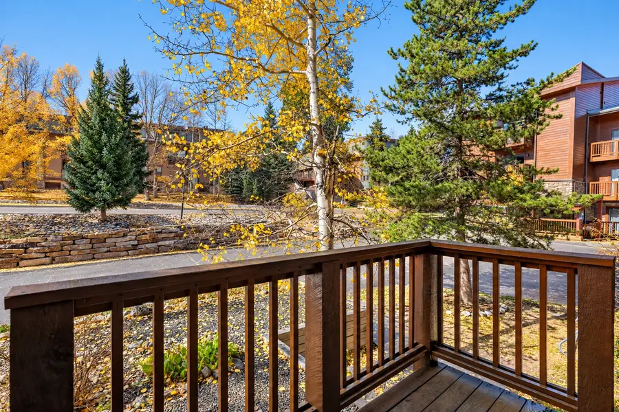 405 Four O'clock Road #B, Breckenridge, CO 80424 - #3