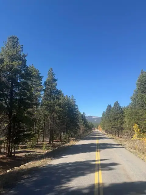 1541 Mountain View Drive, Leadville, CO 80461 - #1