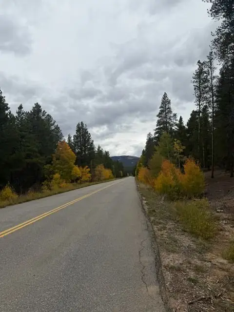 1541 Mountain View Drive, Leadville, CO 80461 - #2