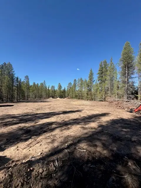 1541 Mountain View Drive, Leadville, CO 80461 - #3