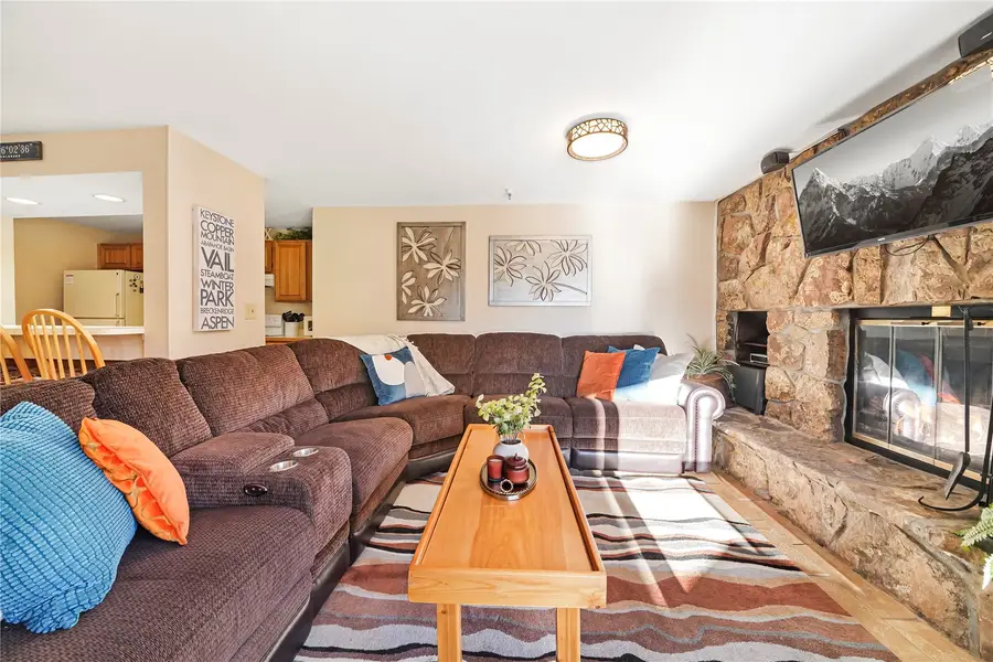 188 E La Bonte Street #316, Dillon, CO 80435 - #2