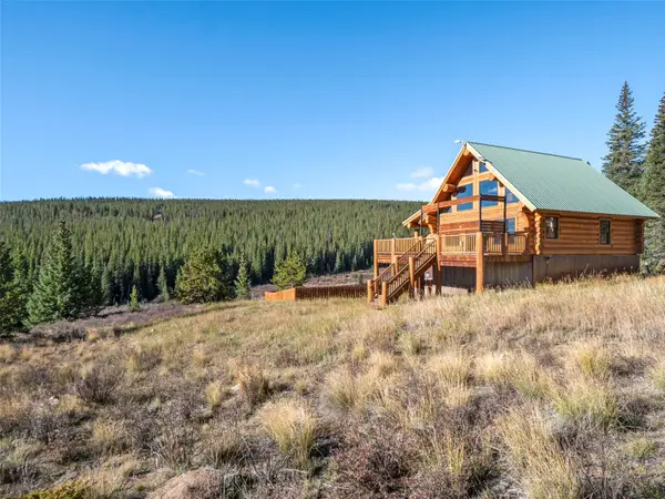 1204 Zebulon Street, Fairplay, CO 80440