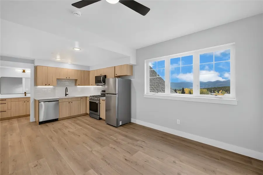 309 Grand Review Drive #302, Leadville, CO 80461 - #2