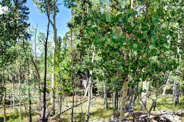 266 Timberline Drive, Guffey, CO 80820